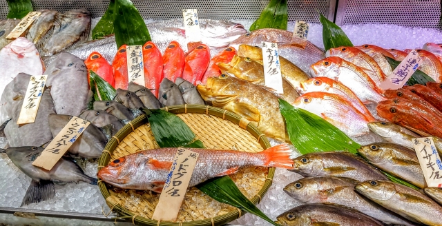 季節ごとのおすすめ魚一覧