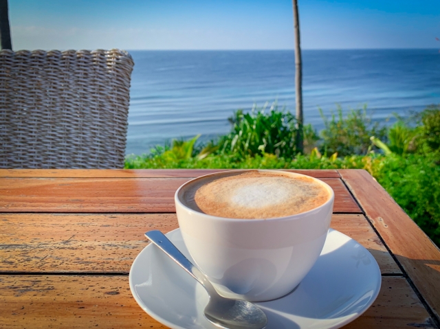 三浦市で愛犬とカフェ巡り♪海風感じるペット可カフェ5選