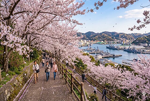 【定番②】塚山公園 — 横須賀港を見下ろす絶景お花見
