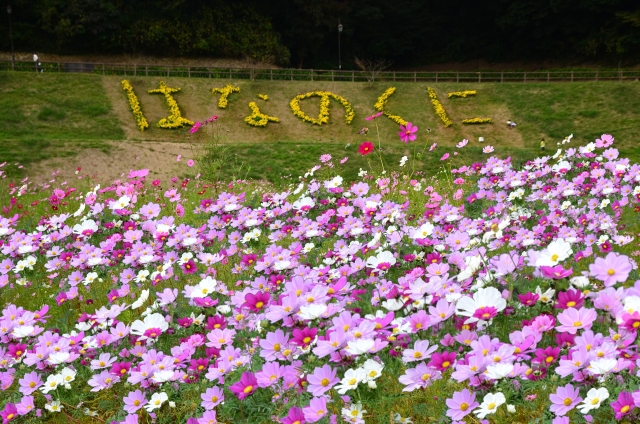 子ども・ファミリーが一日楽しめるイベント
